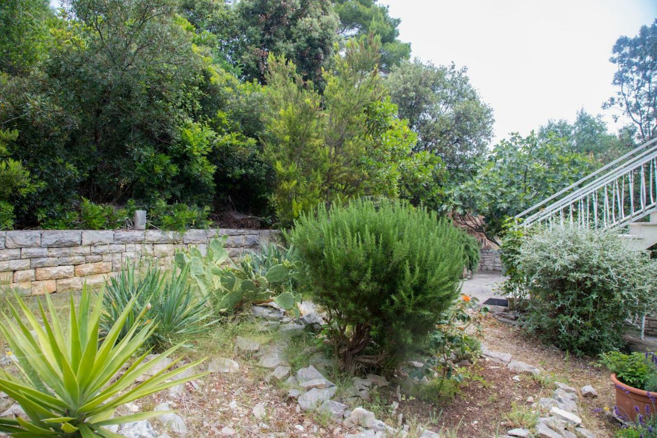Apartments Marjan Brna Εξωτερικό φωτογραφία
